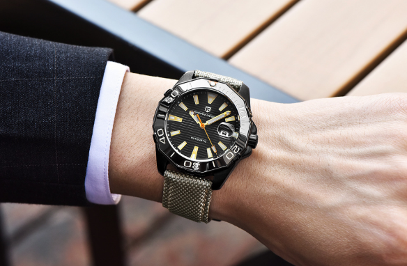 PAGANI DESIGN Men's Waterproof Mechanical Watch