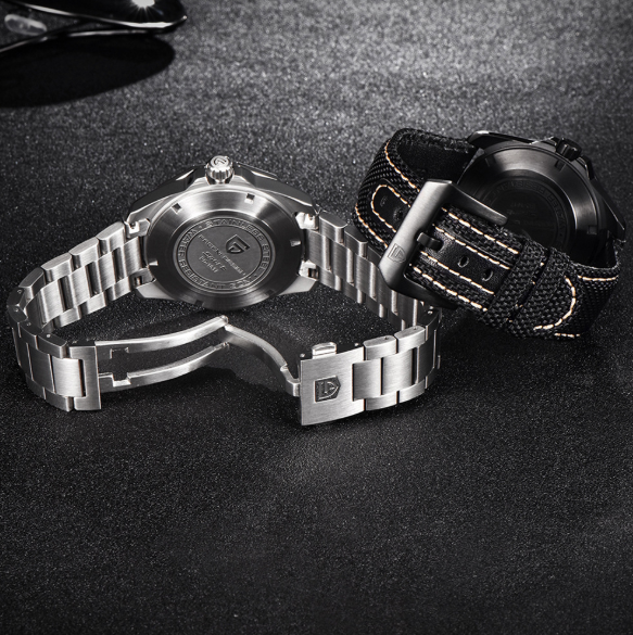 PAGANI DESIGN Men's Waterproof Mechanical Watch